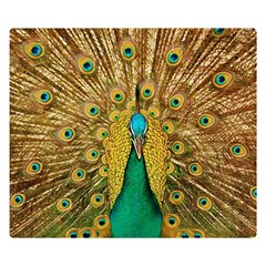 Peacock Feather Bird Peafowl Double Sided Flano Blanket (small)  by Wegoenart