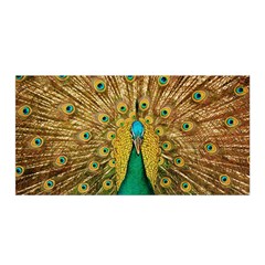 Peacock Feather Bird Peafowl Satin Wrap by Wegoenart