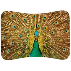 Peacock Feather Bird Peafowl Velour Seat Head Rest Cushion by Wegoenart