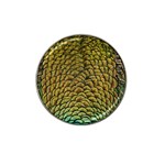 Peacock Bird Feather Color Hat Clip Ball Marker Front