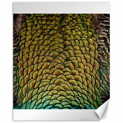 Peacock Bird Feather Color Canvas 16  X 20  by Wegoenart