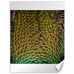 Peacock Bird Feather Color Canvas 36  X 48  by Wegoenart