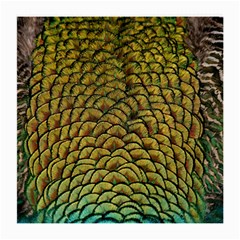 Peacock Bird Feather Color Medium Glasses Cloth (2-side) by Wegoenart