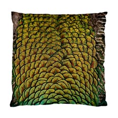 Peacock Bird Feather Color Standard Cushion Case (two Sides) by Wegoenart