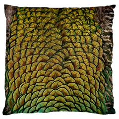 Peacock Bird Feather Color Large Flano Cushion Case (one Side) by Wegoenart