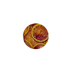 Blood Orange Fruit Citrus Fruits 1  Mini Magnets by Wegoenart