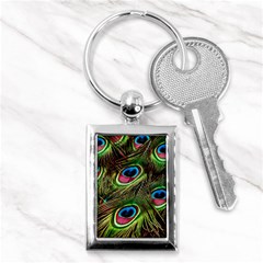 Peacock Feathers Feather Color Key Chains (rectangle)  by Wegoenart