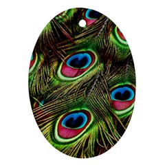 Peacock Feathers Feather Color Oval Ornament (two Sides)