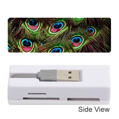 Peacock Feathers Feather Color Memory Card Reader (stick)