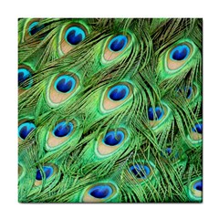 Peacock Feathers Peafowl Tile Coasters by Wegoenart