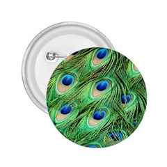 Peacock Feathers Peafowl 2 25  Buttons by Wegoenart