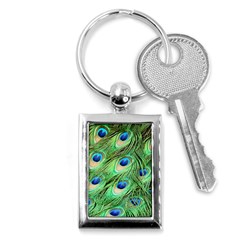 Peacock Feathers Peafowl Key Chains (rectangle)  by Wegoenart