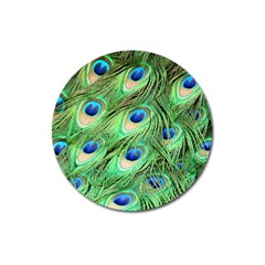 Peacock Feathers Peafowl Magnet 3  (round) by Wegoenart