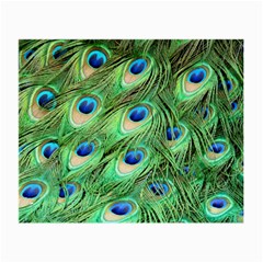 Peacock Feathers Peafowl Small Glasses Cloth by Wegoenart