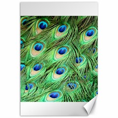 Peacock Feathers Peafowl Canvas 12  X 18  by Wegoenart