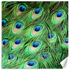 Peacock Feathers Peafowl Canvas 16  X 16  by Wegoenart