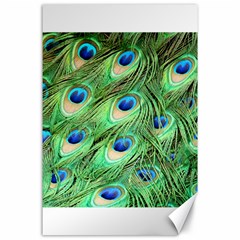 Peacock Feathers Peafowl Canvas 24  X 36  by Wegoenart