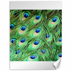 Peacock Feathers Peafowl Canvas 36  X 48  by Wegoenart