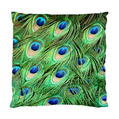 Peacock Feathers Peafowl Standard Cushion Case (one Side) by Wegoenart