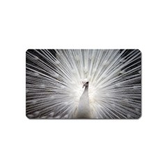 Peacock White Bird Nature Magnet (name Card) by Wegoenart