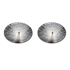 Peacock White Bird Nature Cufflinks (oval)