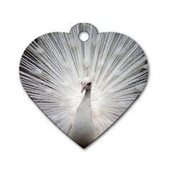 Peacock White Bird Nature Dog Tag Heart (one Side) by Wegoenart