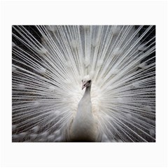 Peacock White Bird Nature Small Glasses Cloth (2-side) by Wegoenart