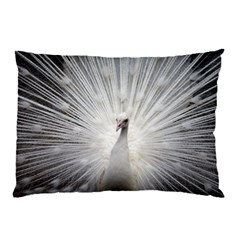 Peacock White Bird Nature Pillow Case by Wegoenart