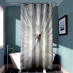 Peacock White Bird Nature Shower Curtain 36  X 72  (stall)  by Wegoenart