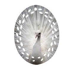 Peacock White Bird Nature Ornament (oval Filigree) by Wegoenart