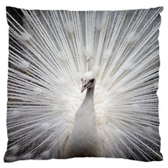 Peacock White Bird Nature Large Cushion Case (one Side) by Wegoenart