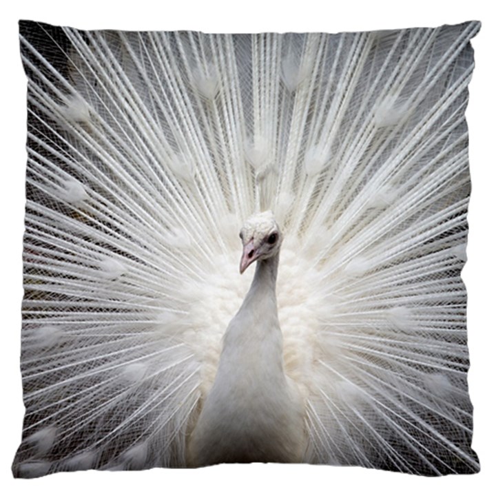 Peacock White Bird Nature Large Cushion Case (One Side)