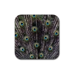 Background Peacock Feathers Rubber Coaster (square)  by Wegoenart