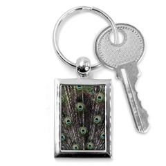 Background Peacock Feathers Key Chains (rectangle)  by Wegoenart