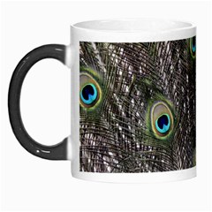 Background Peacock Feathers Morph Mugs by Wegoenart