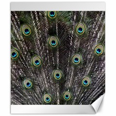 Background Peacock Feathers Canvas 20  X 24  by Wegoenart