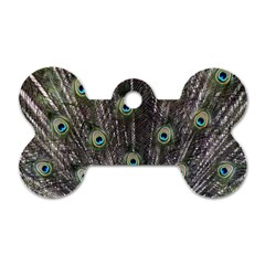 Background Peacock Feathers Dog Tag Bone (two Sides) by Wegoenart