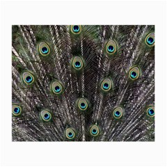 Background Peacock Feathers Small Glasses Cloth (2-side) by Wegoenart