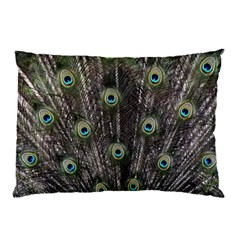 Background Peacock Feathers Pillow Case by Wegoenart