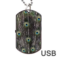 Background Peacock Feathers Dog Tag Usb Flash (one Side) by Wegoenart