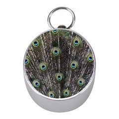 Background Peacock Feathers Mini Silver Compasses by Wegoenart