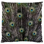 Background Peacock Feathers Standard Flano Cushion Case (One Side) Front