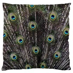 Background Peacock Feathers Standard Flano Cushion Case (two Sides) by Wegoenart