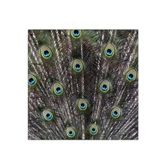 Background Peacock Feathers Satin Bandana Scarf by Wegoenart