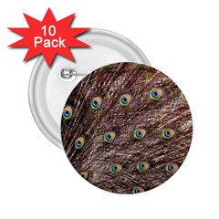 Peacock Feathers Wheel Plumage 2 25  Buttons (10 Pack)  by Wegoenart