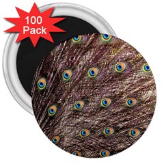 Peacock Feathers Wheel Plumage 3  Magnets (100 Pack) by Wegoenart