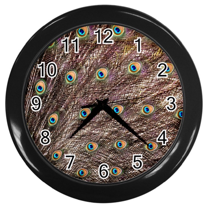 Peacock Feathers Wheel Plumage Wall Clock (Black)