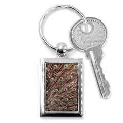 Peacock Feathers Wheel Plumage Key Chains (rectangle)  by Wegoenart