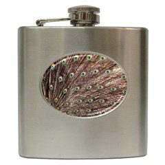 Peacock Feathers Wheel Plumage Hip Flask (6 Oz) by Wegoenart