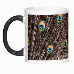 Peacock Feathers Wheel Plumage Morph Mugs by Wegoenart